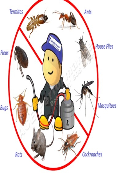 Apms Pest Control Service Chandigarh 9988889664 logo